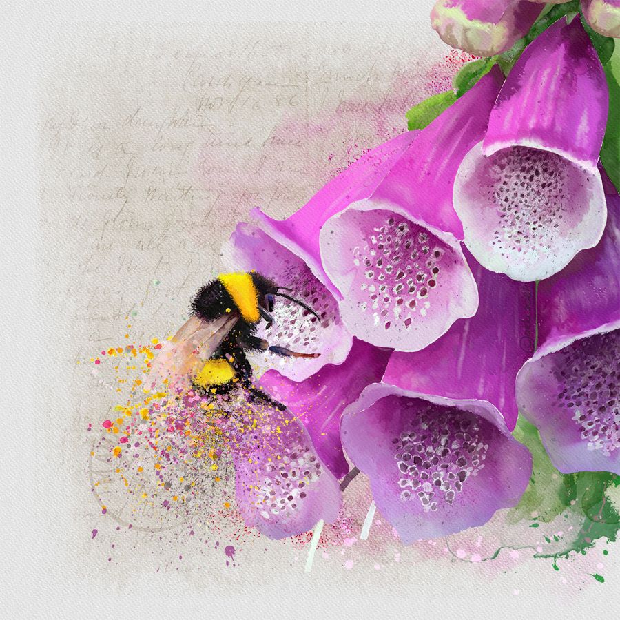 Foxglove & bumblebee