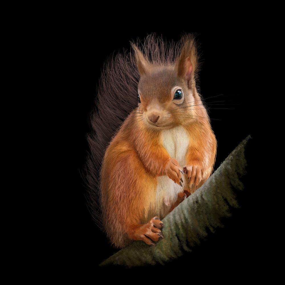 Squirrel pastel portrait