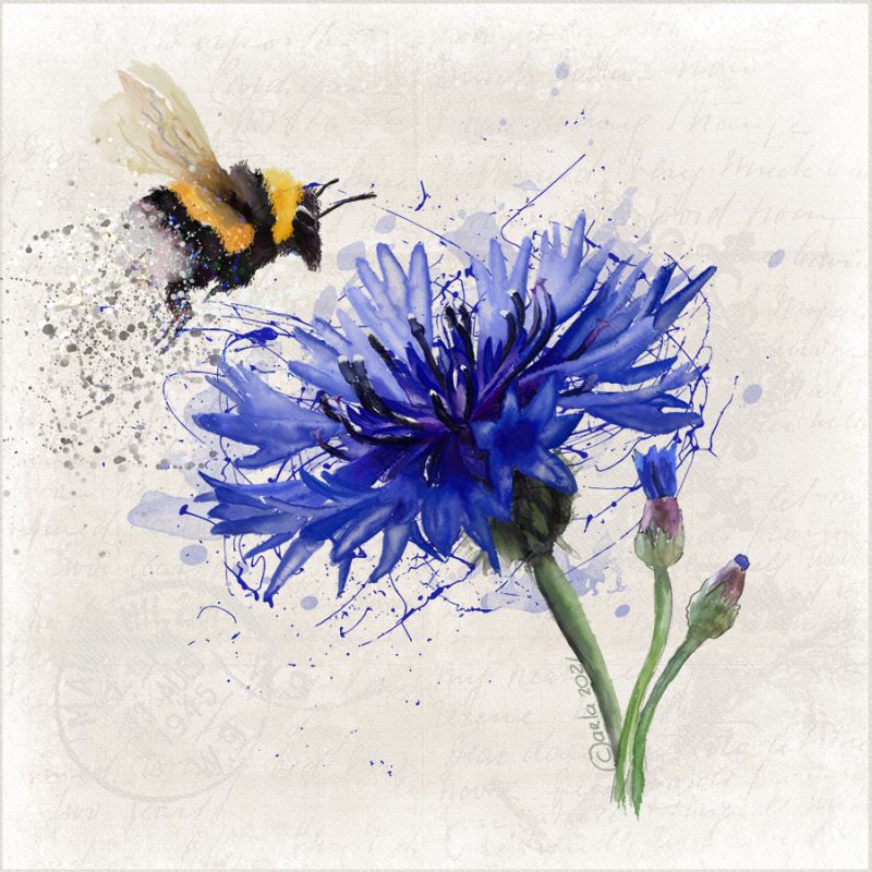 Cornflower and bumblebee